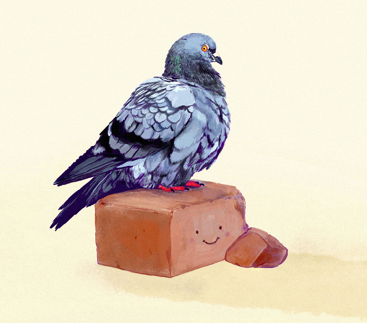  A pigeon with ruffled feathers sitting on an adorably happy red brick